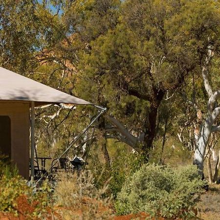 Squeakywindmill Boutique Tent B&B Alice Springs Ngoại thất bức ảnh
