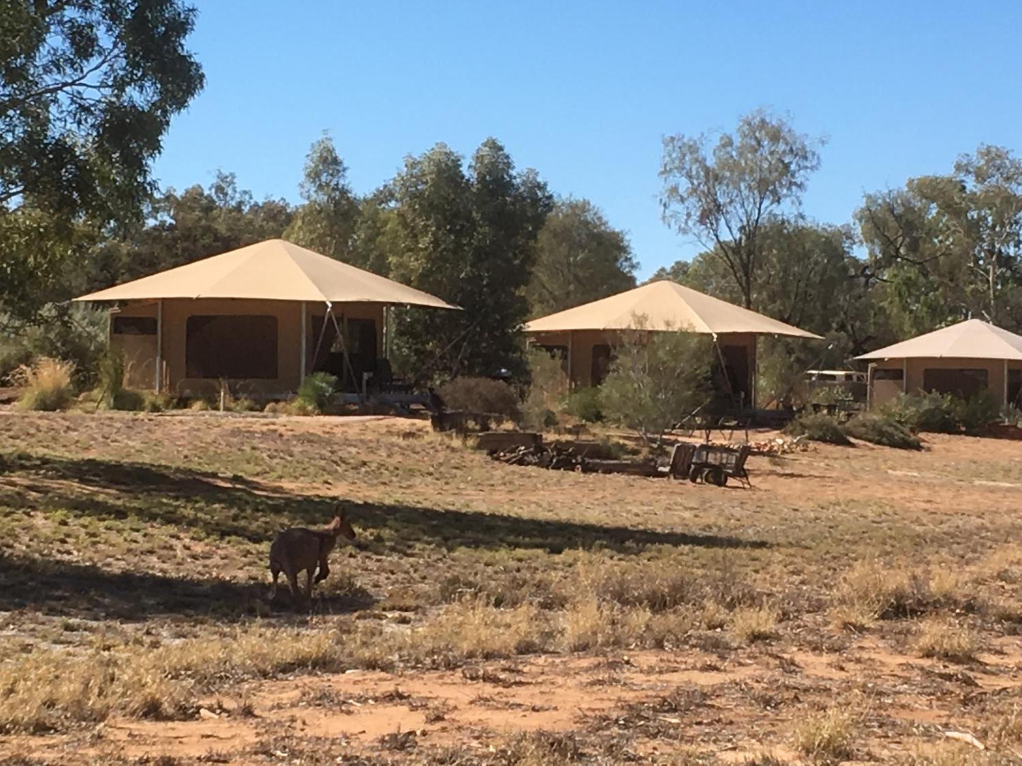 Squeakywindmill Boutique Tent B&B Alice Springs Ngoại thất bức ảnh