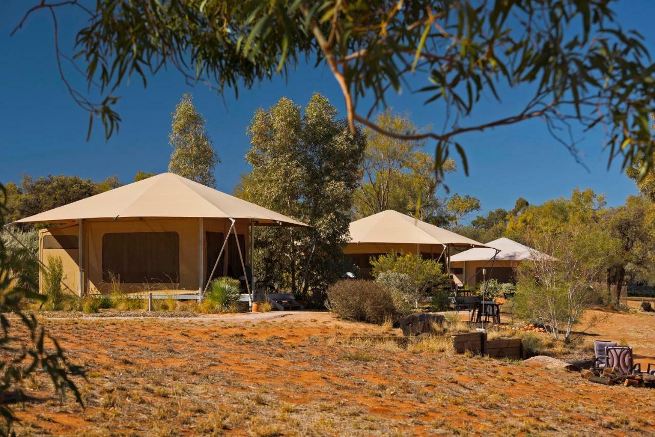 Squeakywindmill Boutique Tent B&B Alice Springs Ngoại thất bức ảnh