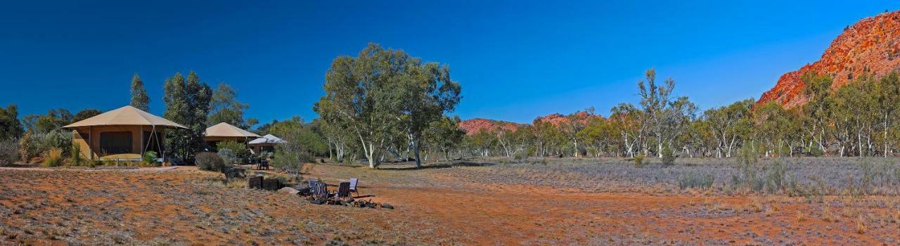 Squeakywindmill Boutique Tent B&B Alice Springs Ngoại thất bức ảnh